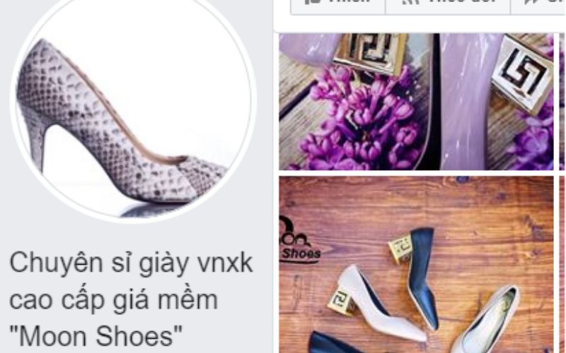  Giày VNXK Moon shoes