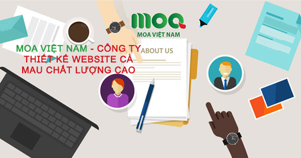 MOA Việt Nam - Công ty thiết kế website Cà Mau chất lượng cao